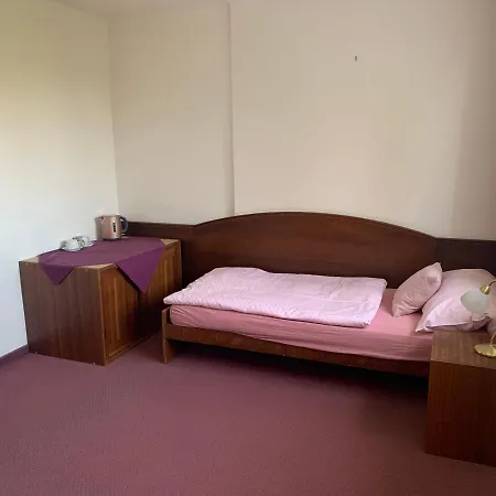 Guest house Hotel-pension Kamyk
