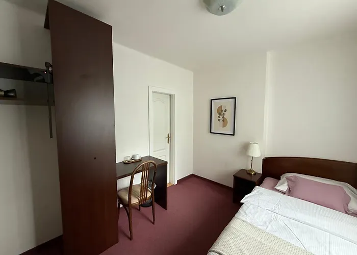 Penzion Hotel-pension Kamýk 3*