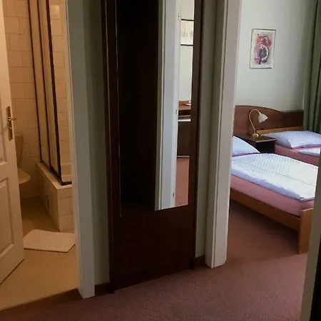 Hotel-pension Kamýk Penzion 3*